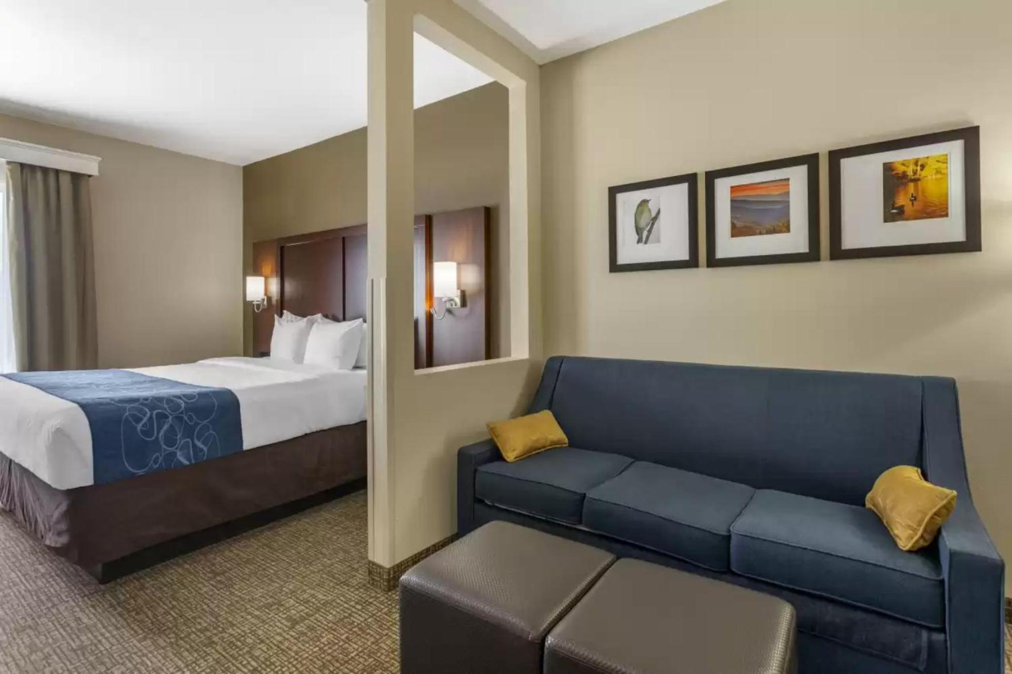 Comfort Suites At Rivergate Mall Goodlettsville Esterno foto